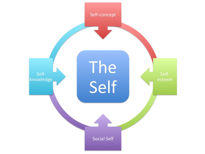 image of a model describing the self
